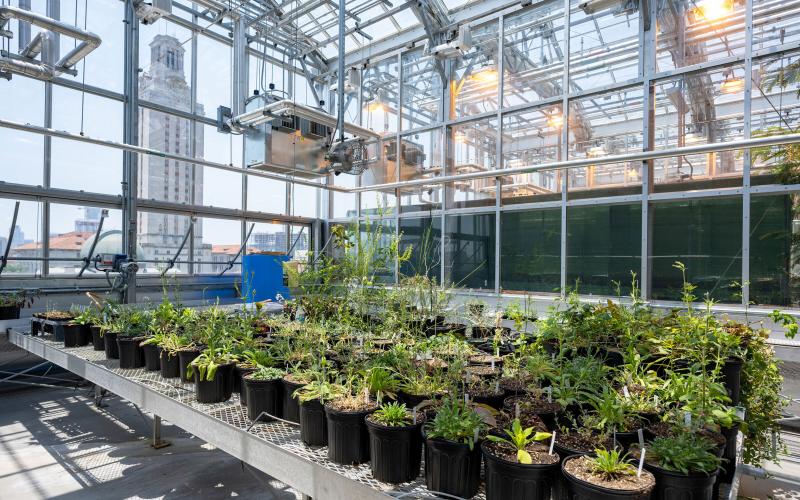 Square Footage NHB Greenhouse